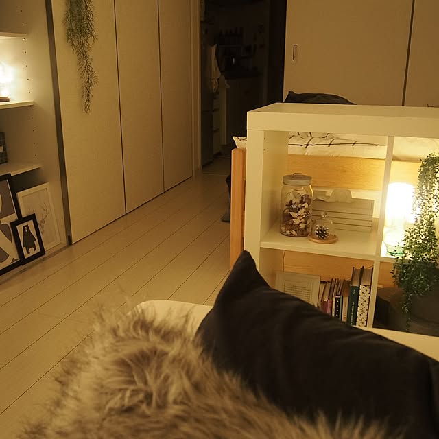 yukey.mさんの実例写真