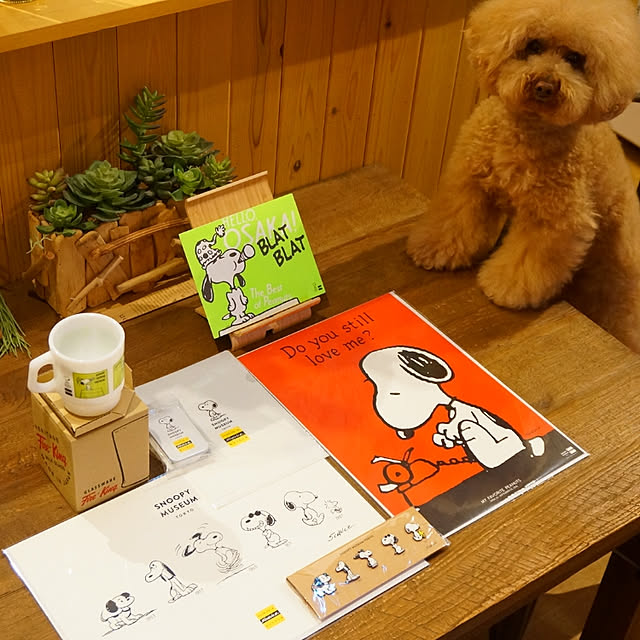 reiさんの実例写真