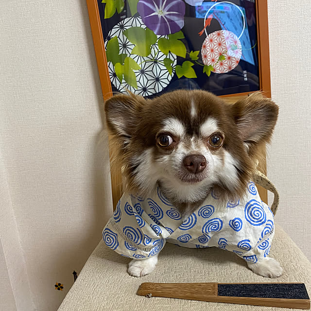 chIoeさんの実例写真
