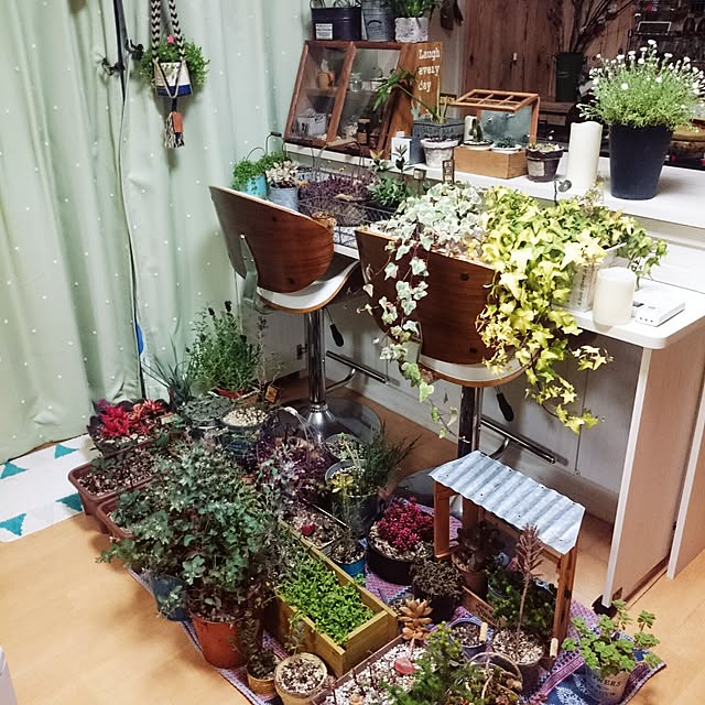 ripさんの実例写真