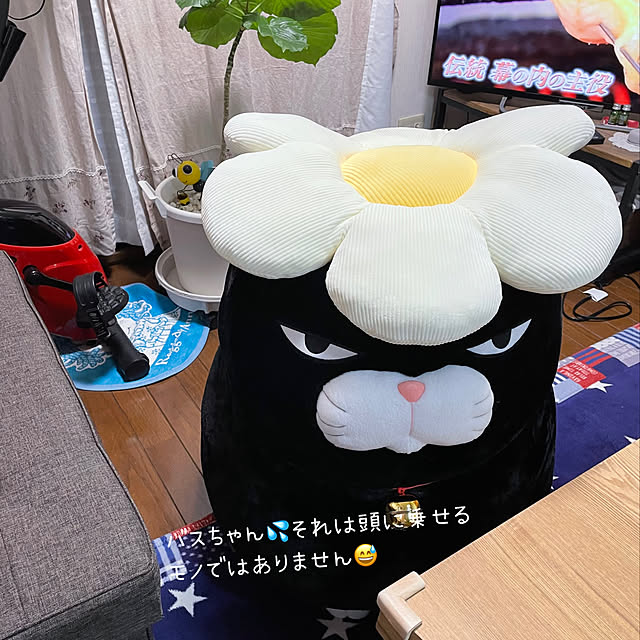 honpoさんの実例写真