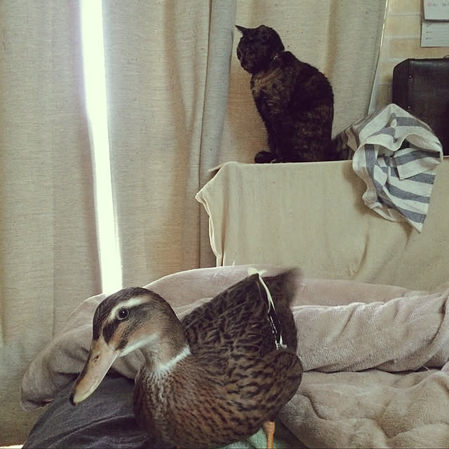 mさんの実例写真