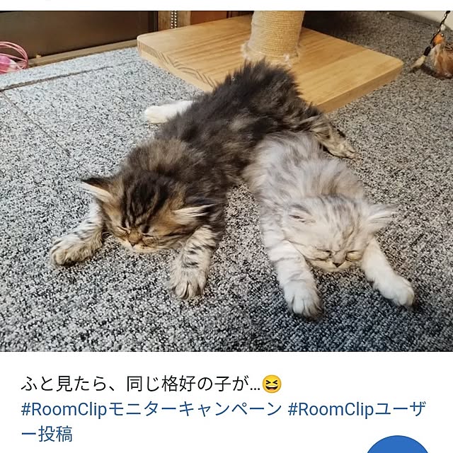 makaronさんの実例写真