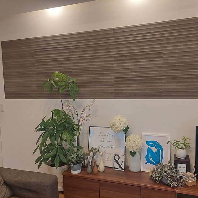 anmomaruさんの部屋