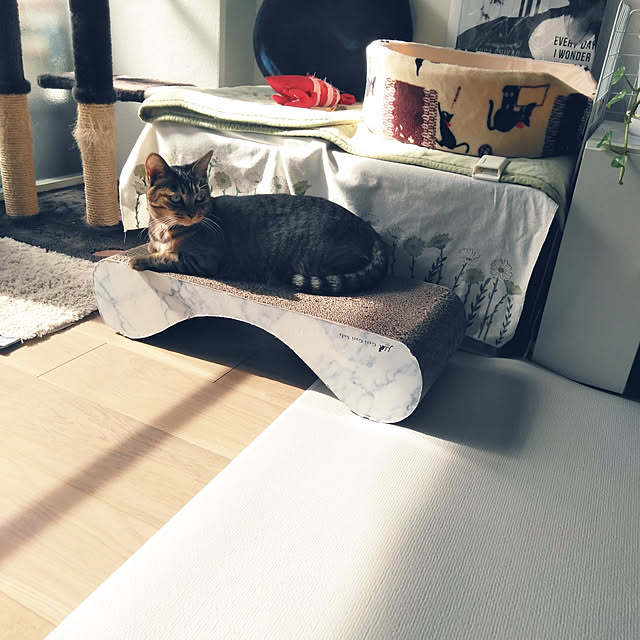 futukoのペティオ (Petio)-キャットタワー 猫タワー 据え置き型 ケージ ゲージ おしゃれ アドメイト Add.Mate 猫のおあそびポール お魚ファミリー ハイタイプ 室内の家具・インテリア写真