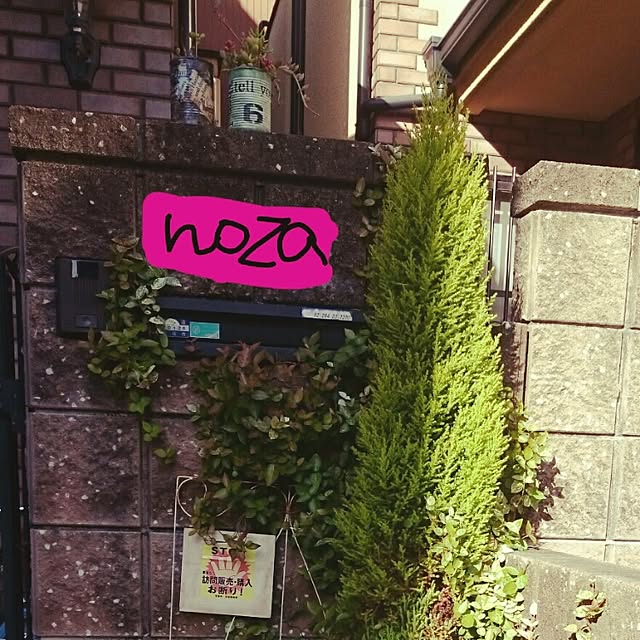 nozaさんの実例写真