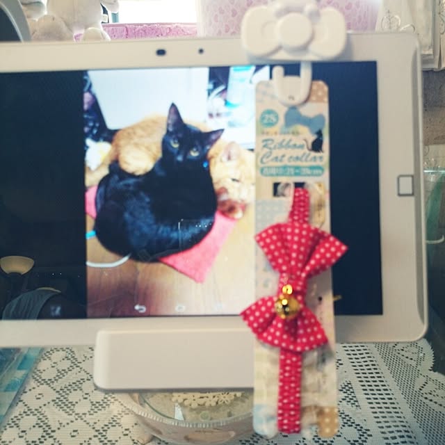 fu-ka24さんの実例写真