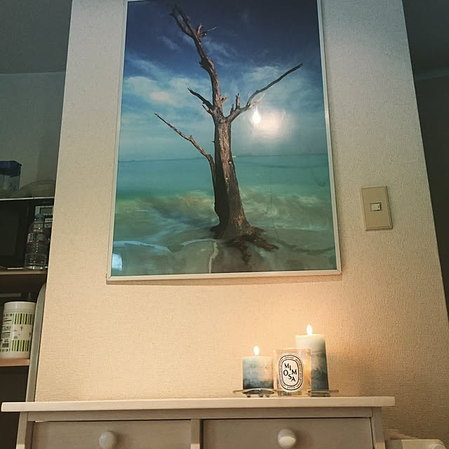 ANZU1201さんの実例写真