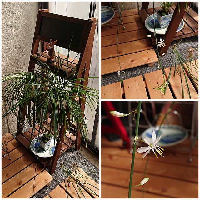 Reikomさんの実例写真