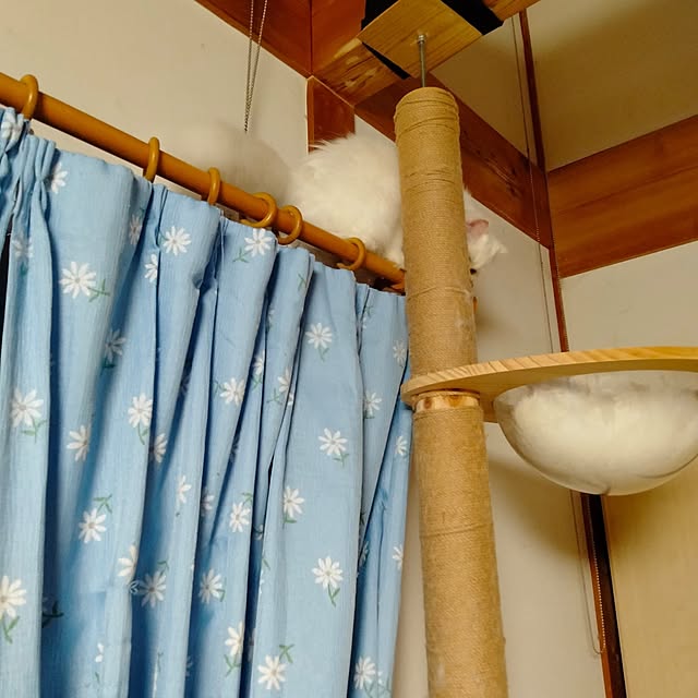 makaronさんの部屋