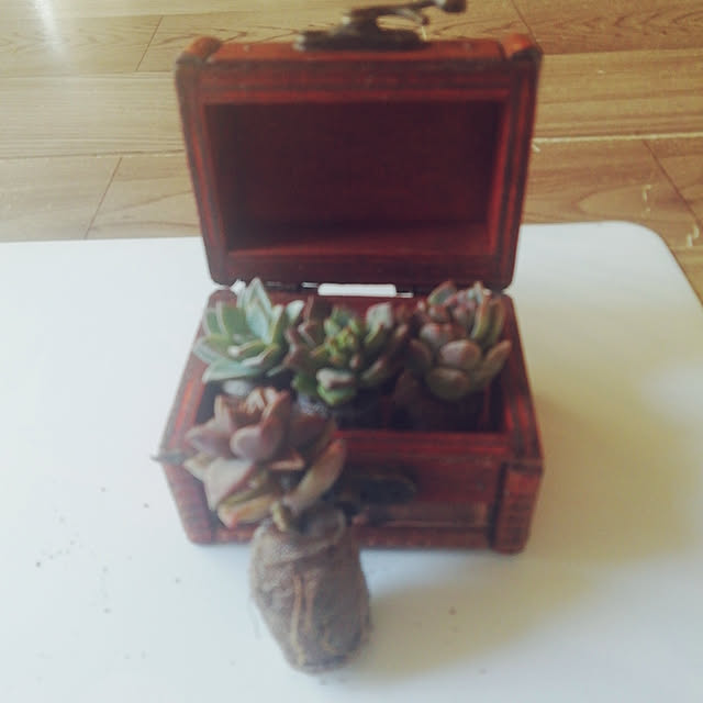 Tomopさんの実例写真