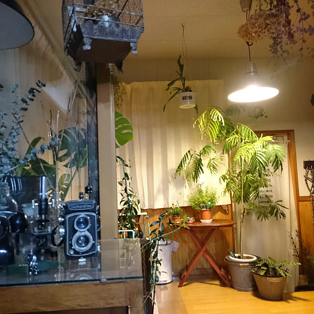 tikuwaさんの実例写真