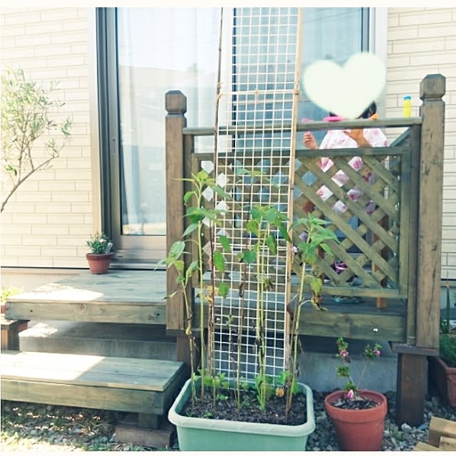 u_u.zzzさんの実例写真