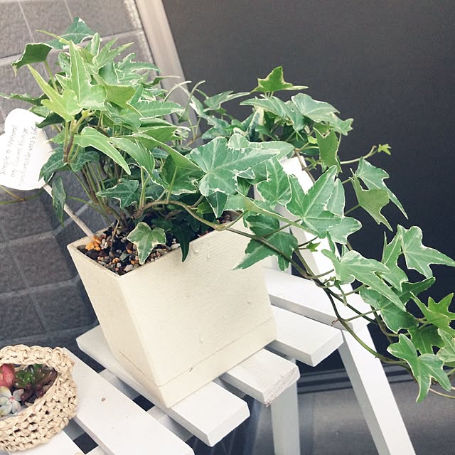 raindropさんの実例写真