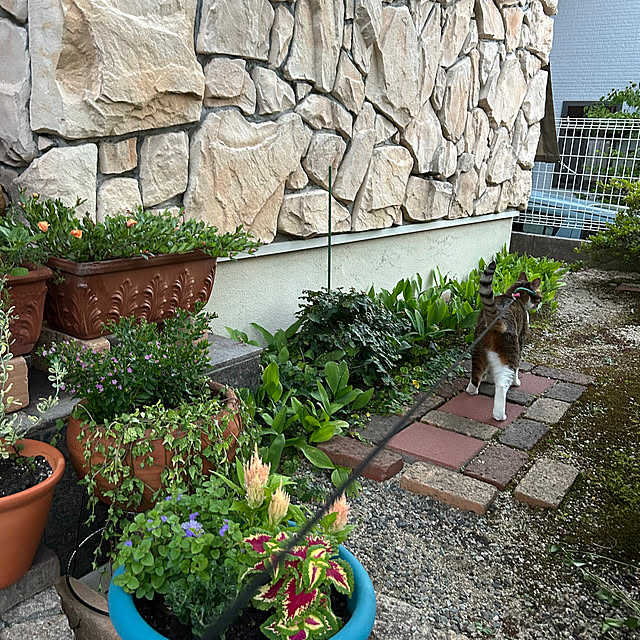 haruさんの部屋