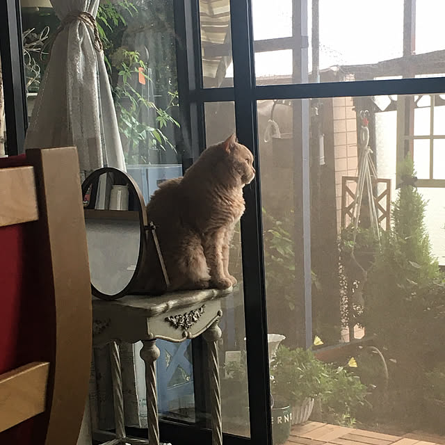 naokoさんの部屋
