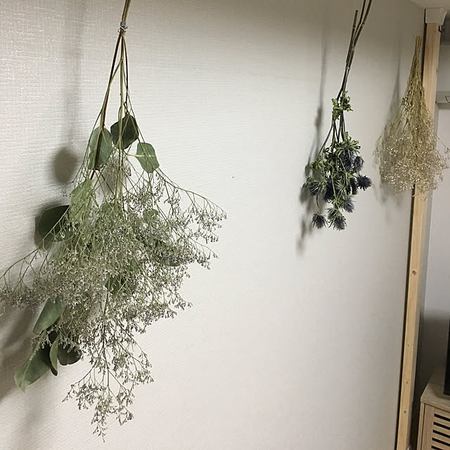 Kumiさんの実例写真