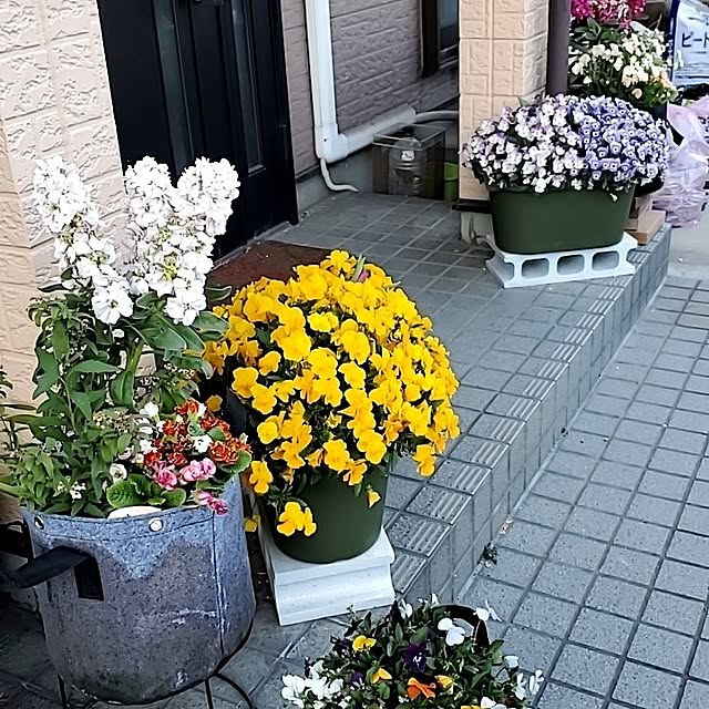 hiromi0344さんの実例写真