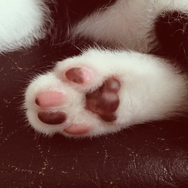 konatsuさんの実例写真