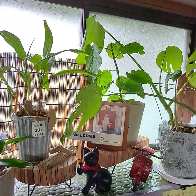 LinLin.007さんの実例写真