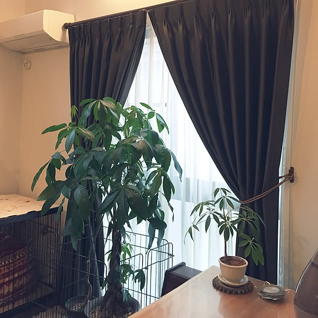 you.sansさんの実例写真