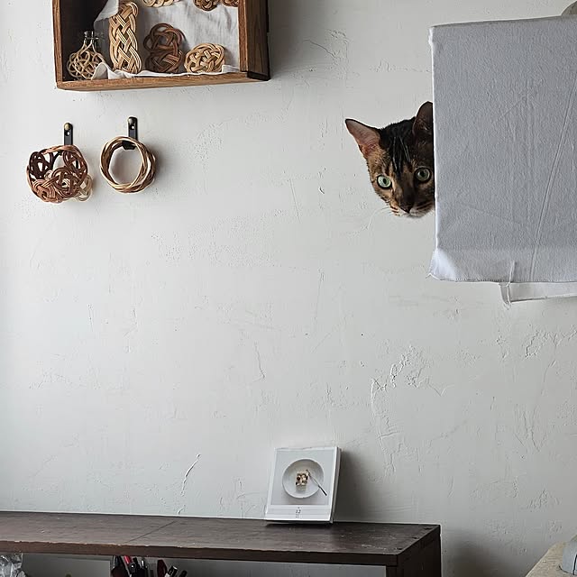 hassyさんの実例写真