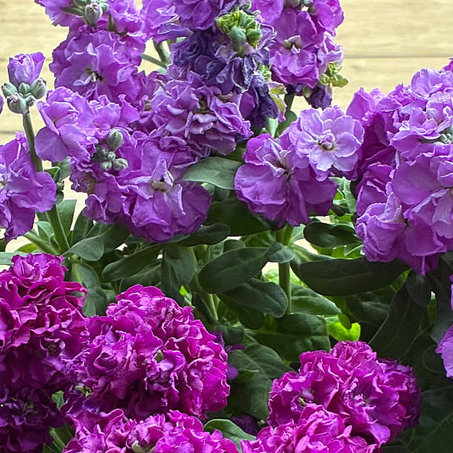 romiromiさんの実例写真