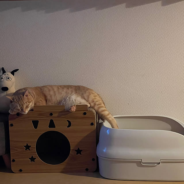 chiiさんの実例写真