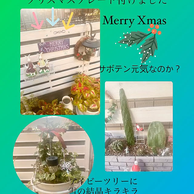 YuuKoさんの実例写真