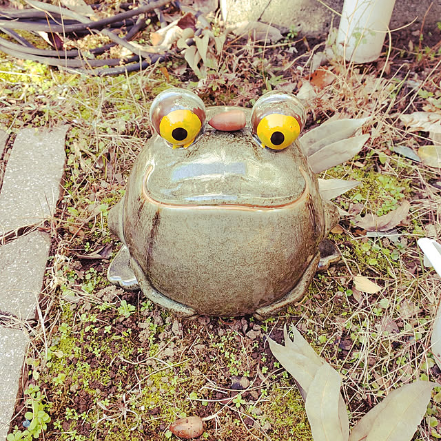 nyaonyaoさんの実例写真