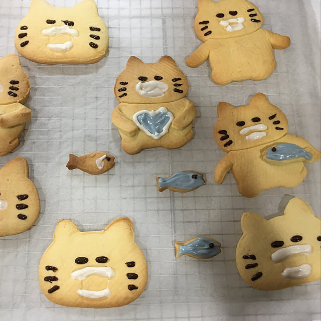 実例写真