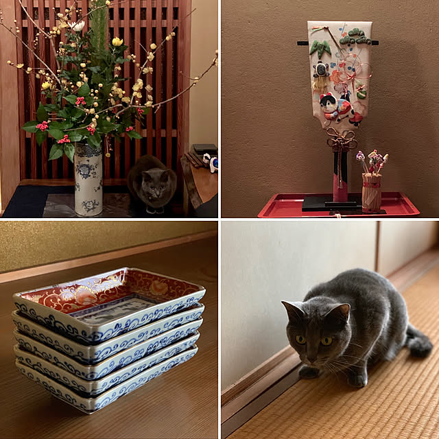 KAZさんの実例写真