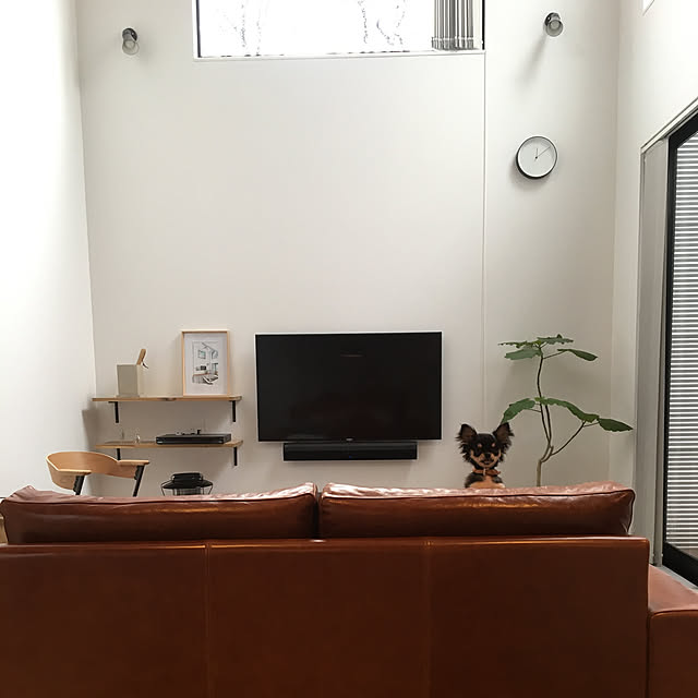 Noboさんの実例写真
