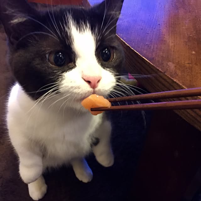 butachanさんの実例写真