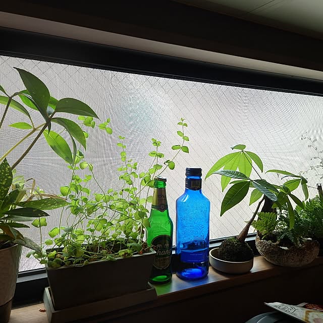 shi24451さんの部屋