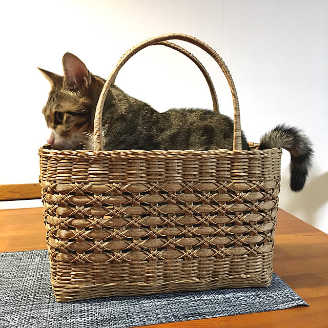 nobikoさんの実例写真