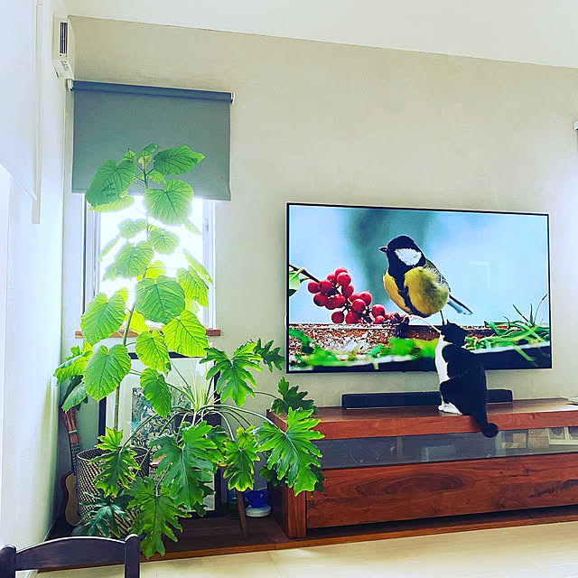 y.さんの実例写真