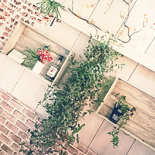 0103_eriさんの実例写真