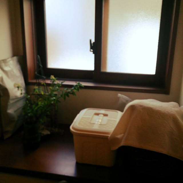 バス/トイレ/ダイソー/ニトリ/植物/100均...などのインテリア実例 - 2016-02-28 08:41:30