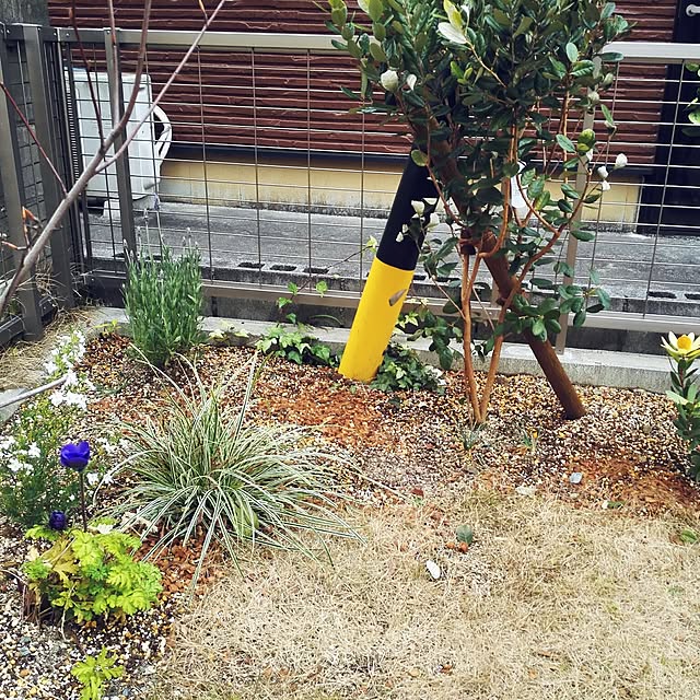 Yukさんの実例写真