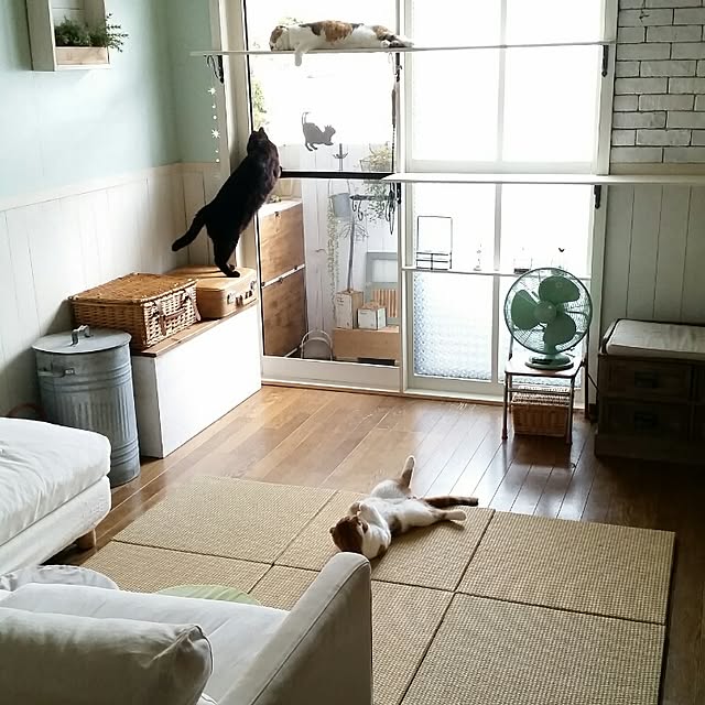 mikiさんの実例写真