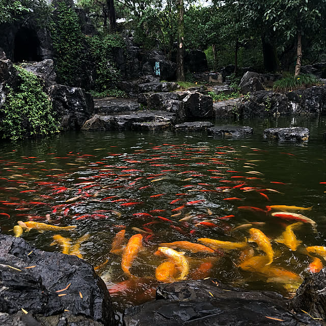 実例写真