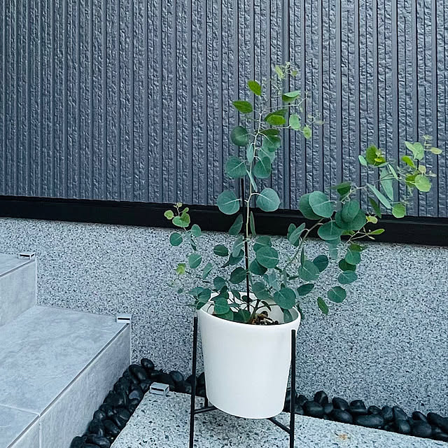 momoさんの部屋