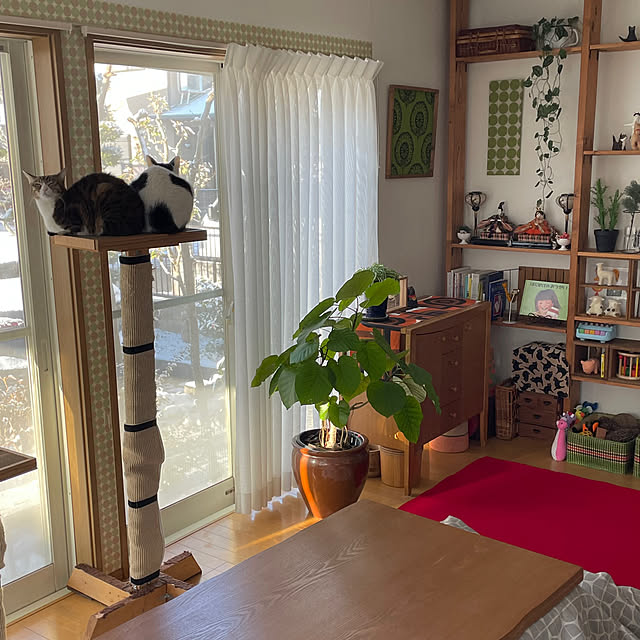 nobikoさんの部屋