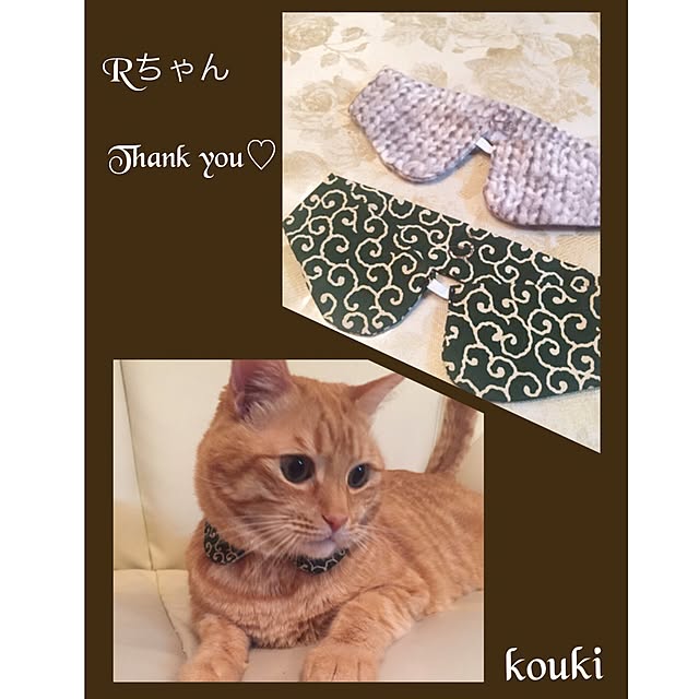 yuさんの実例写真