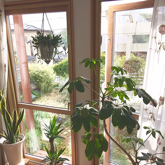 hanahanaさんの実例写真