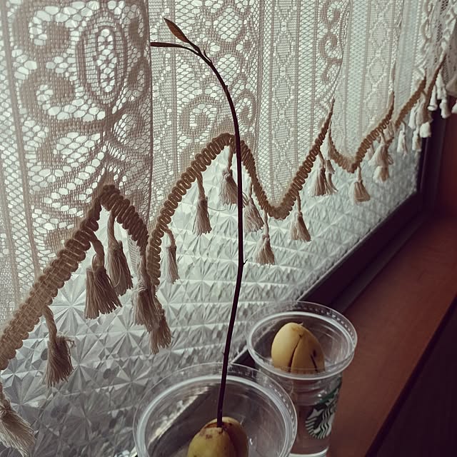 kana_ciiさんの部屋