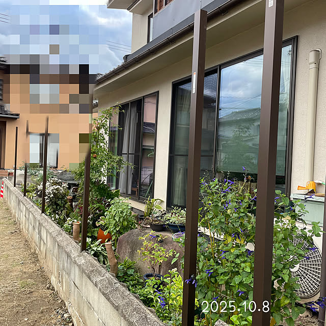 buchiさんの部屋