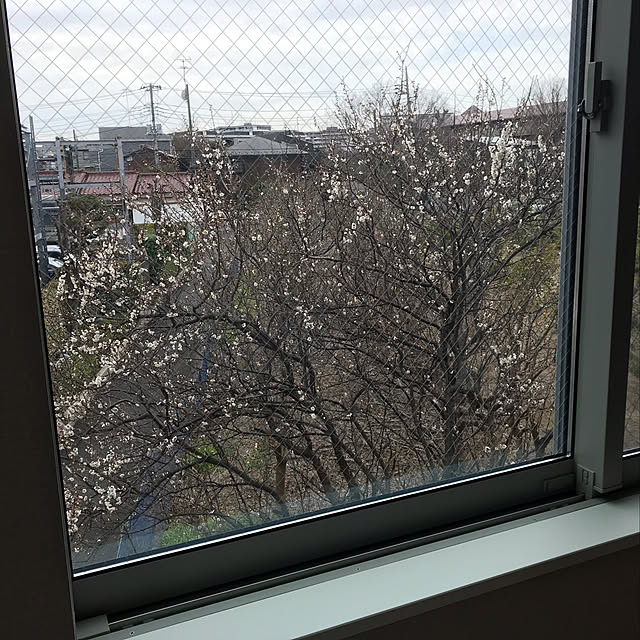 hananokaoriさんの実例写真