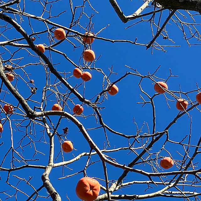 Takenoyaさんの部屋